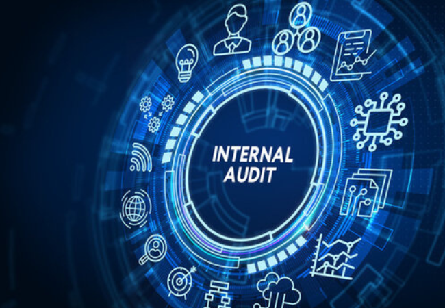 انجام حسابرسی داخلی یا Internal Audit